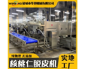 6米核桃仁去皮機 自動過濾核桃仁去皮設備 華邦